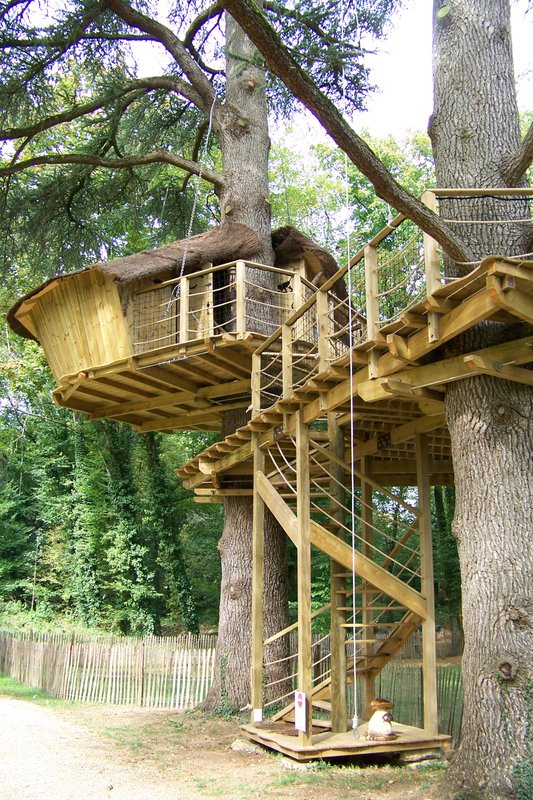 Cabane des Ouistitis à Magné (2)