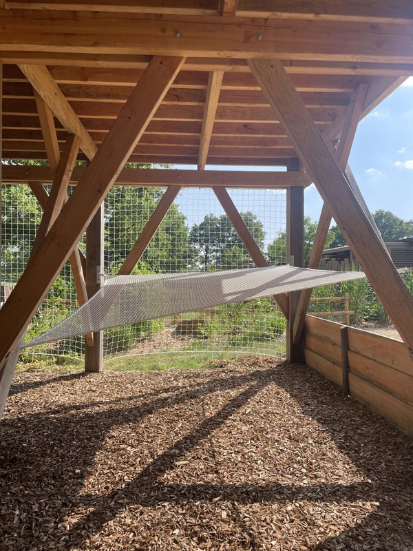 Cabane Spa dans les arbres - 6 personnes à La Guyonniere (12)