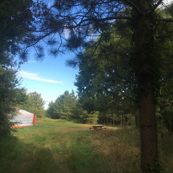 Hébergement AbracadaRoom : Yourte en pleine nature - Image 8