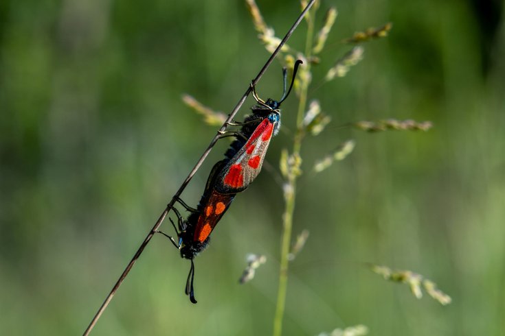 Domaine AbracadaRoom : Le Camp - Image 22