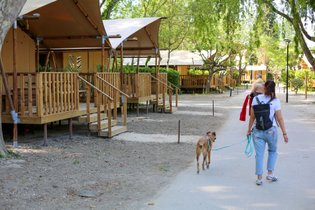 Lodge safari 5 personnes 20 m²