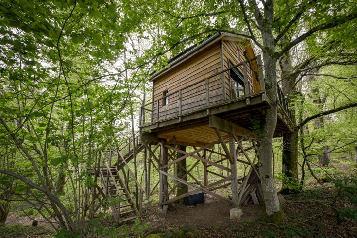 Hébergement AbracadaRoom : La Pat' de l'ours - Image 4