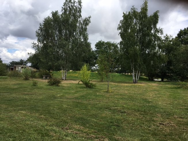 Domaine AbracadaRoom : Bulle des 2 arbres de la sagesse - Image 1