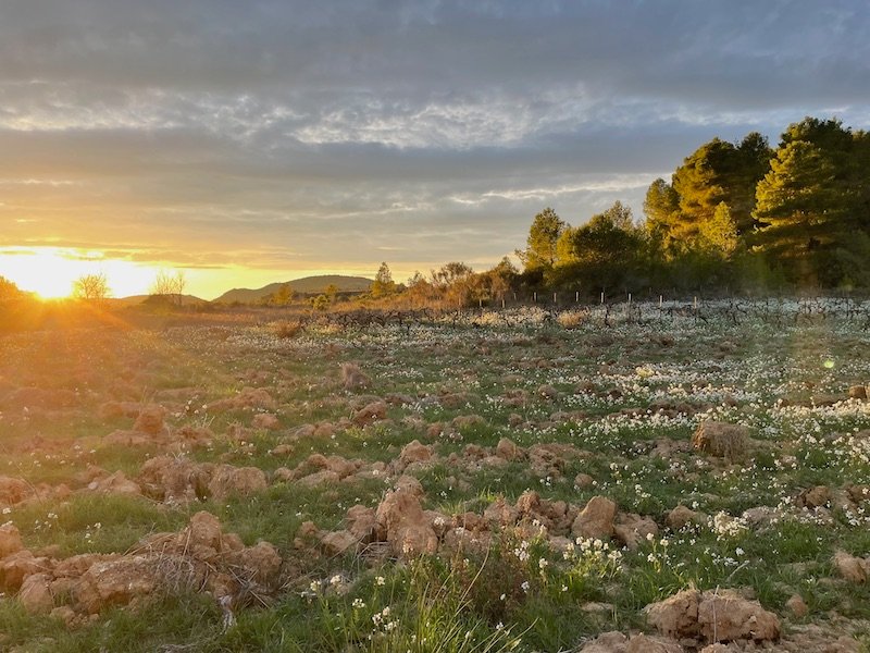 Domaine AbracadaRoom : Glamping Dôme les Cigales - Image 31