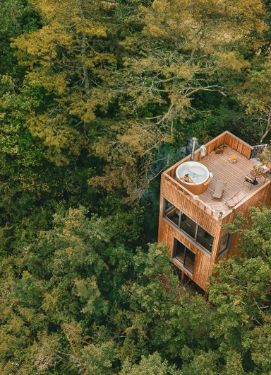 Cabane perché en pleine nature