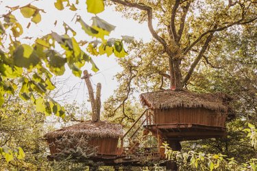 Cabane Héronnière à Chassey-Lès-Montbozon (4)