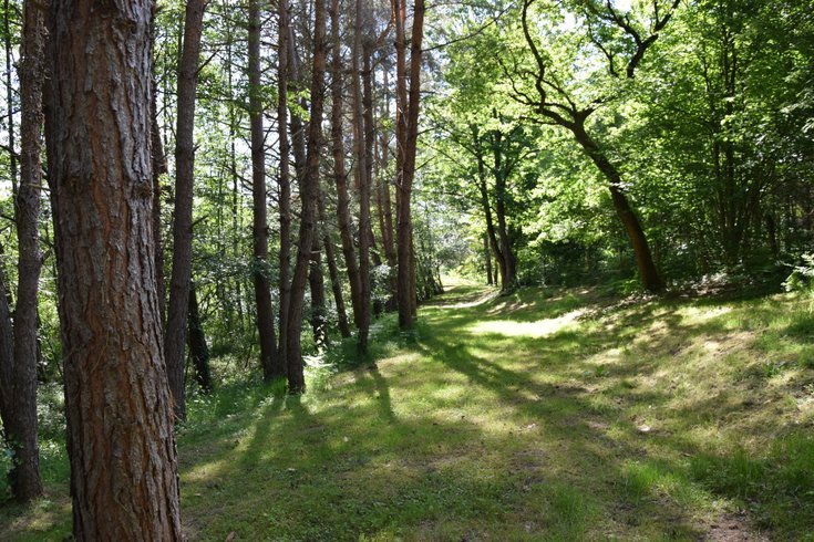 Hébergement AbracadaRoom : Bucolique - Image 15