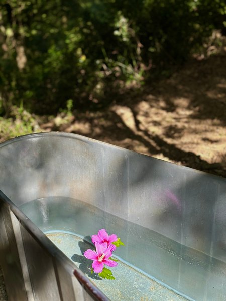 Domaine AbracadaRoom : Wild Lodge - Image 7