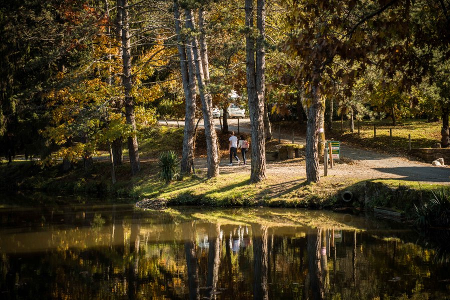 Hébergement AbracadaRoom : Lov'Branches - Image 4