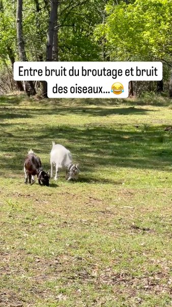 Domaine AbracadaRoom : Les Landines - Image 19