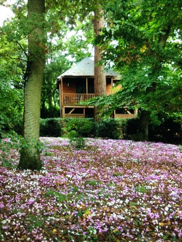 Hébergement AbracadaRoom : Cabane du Manoir du Parc & Spa privatif - Image 22