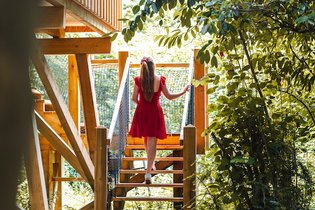 Cabane dans les arbres Oise