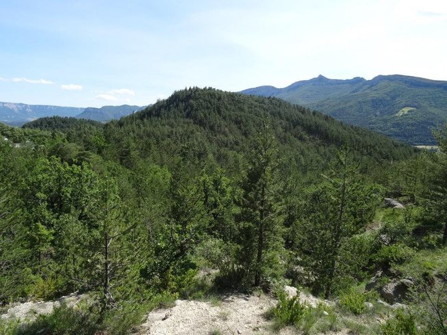 Domaine AbracadaRoom : Les Cabanes du Pas de la Louve - Image 6