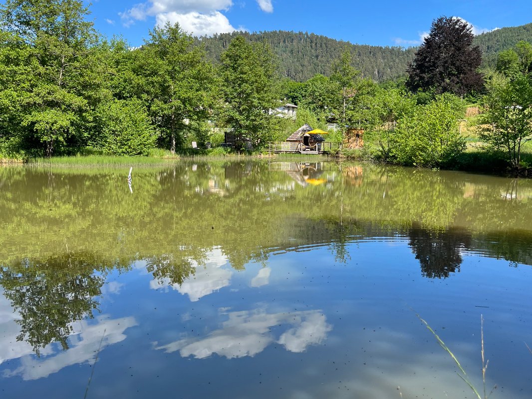 Kota chambre des Cambuses & Bain nordique à Saint Dié Des Vosges (22)