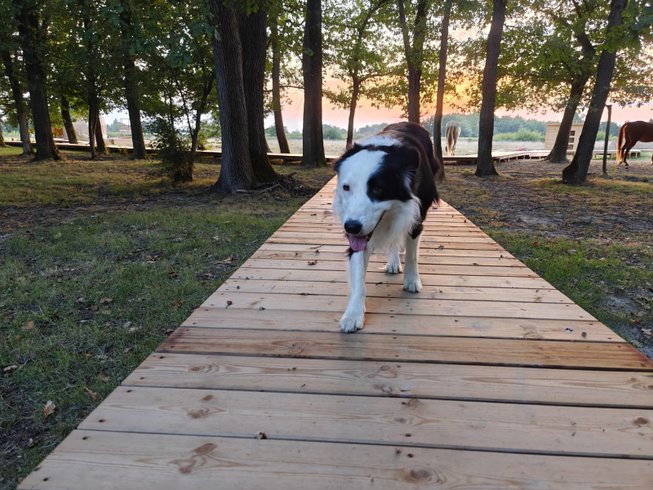 Domaine AbracadaRoom : Via Dôma - Image 8