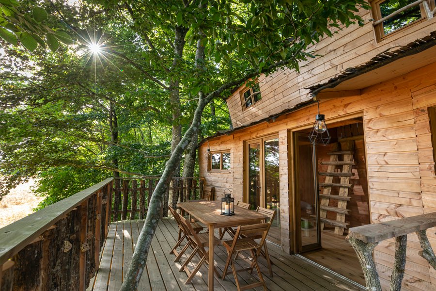 Hébergement AbracadaRoom : Suricate - Image 1