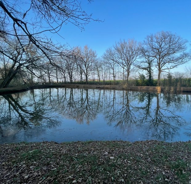 Domaine AbracadaRoom : BERRY SEJOURS Cabanes et SPA - Image 3