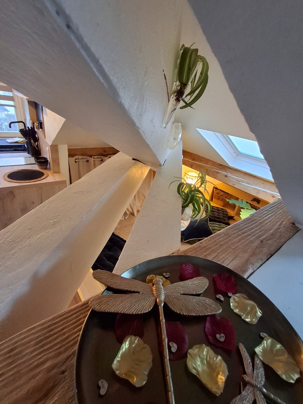 Le 182 - Splendide Hotel à Aix-Les-Bains (8)