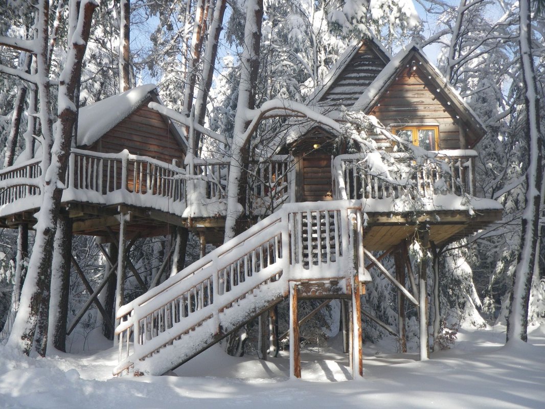 Cabane perchée Cosy Famille à Champdray (9)