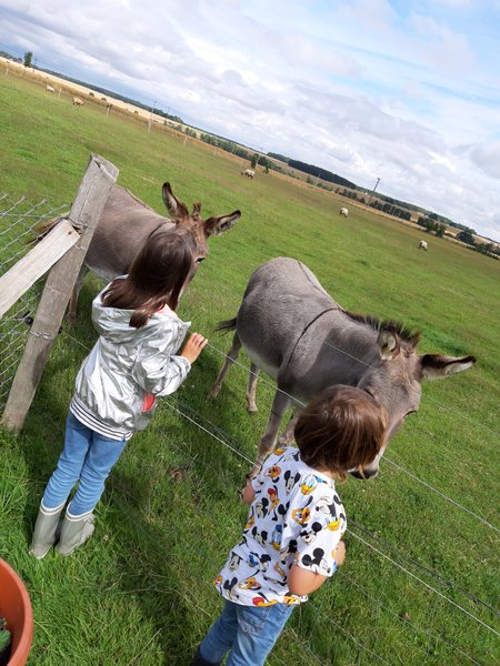 Domaine AbracadaRoom : Caraferme et compagnie - Image 14