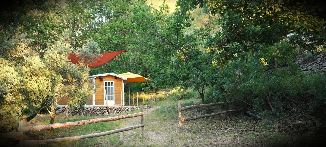 Hébergement AbracadaRoom : Roulotte Nature - Image 1