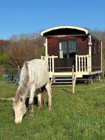 Hébergement AbracadaRoom : Roulotte Lily - Image 12