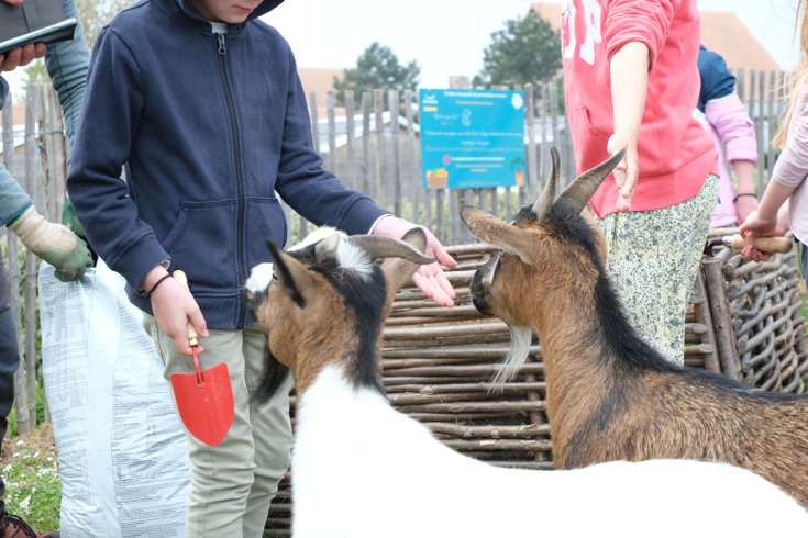 Domaine AbracadaRoom : Seasonova Camping Saint Michel - Image 16