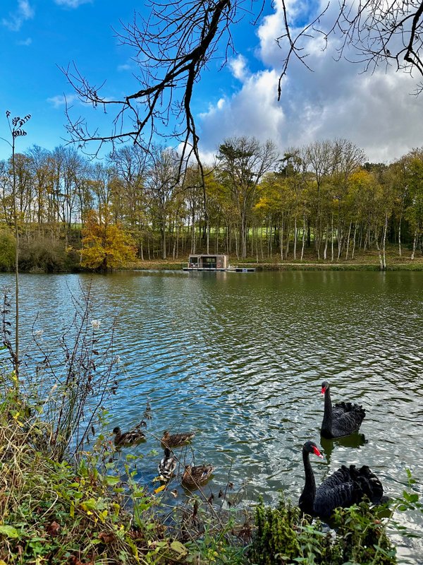 Cabane sur l'eau : L’Õthentique à Sainte Gemme (13)