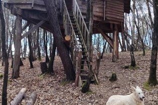 Cabane Murmure de Feuilles – Une parenthèse suspendue au cœur de la nature