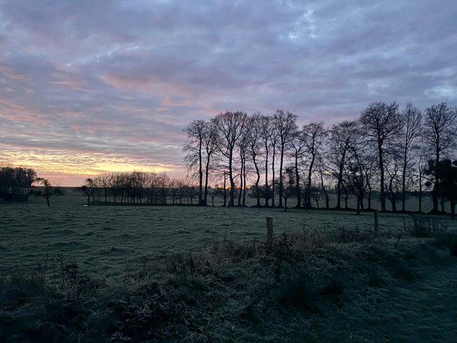 Domaine AbracadaRoom : Le Vert d'Orezza - Image 10