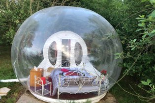 Bulle des 2 arbres de la sagesse