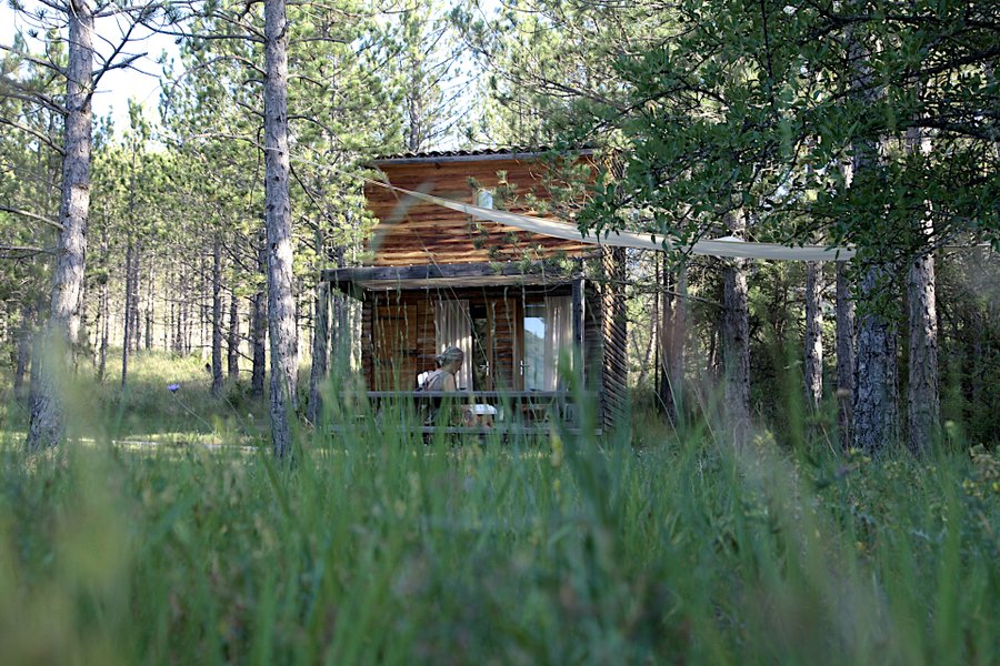 Hébergement AbracadaRoom : Pégase - Image 1