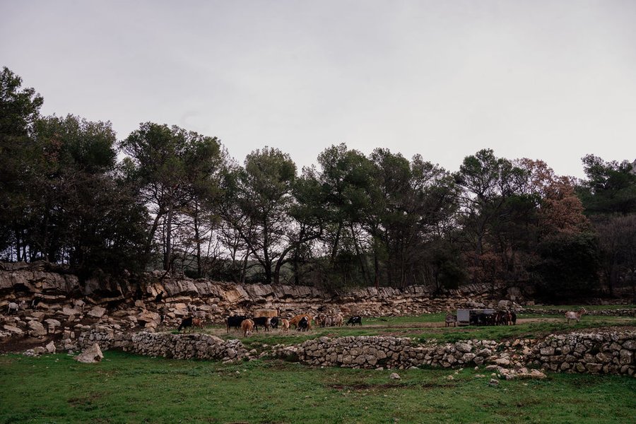 Domaine AbracadaRoom : Parcel Tiny House - au coeur de la Provence proche Marseille - Image 16