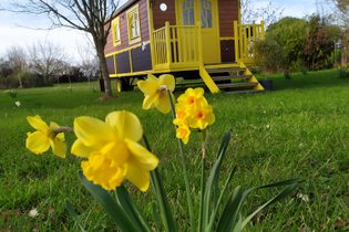 J'irai dormir en Anjou