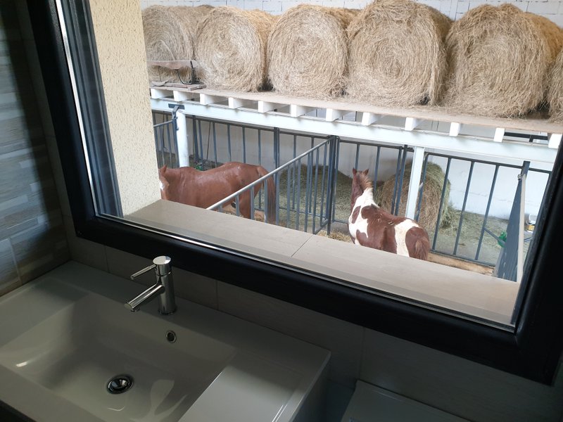 Hébergement AbracadaRoom : Chambre 4 -  3 pers. vue panoramique sur l’ensemble des chevaux - Image 2