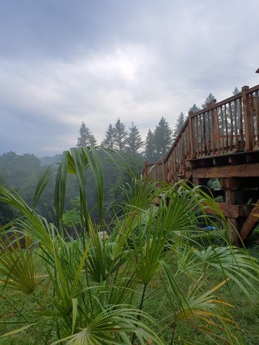 Hébergement AbracadaRoom : Cabane PureScapade & Spa - Image 23