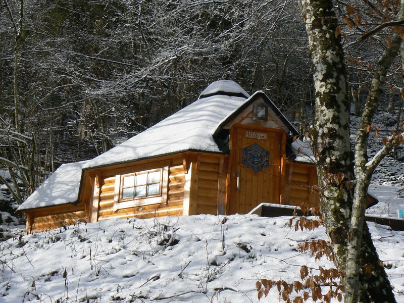 Hébergement AbracadaRoom : Kota Willow - Image 1