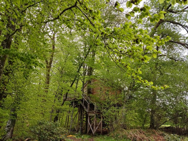 Domaine AbracadaRoom : La Pat' de l'ours - Image 1