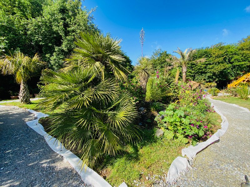 Domaine AbracadaRoom : Jardin Zen du Quistillic - Image 21