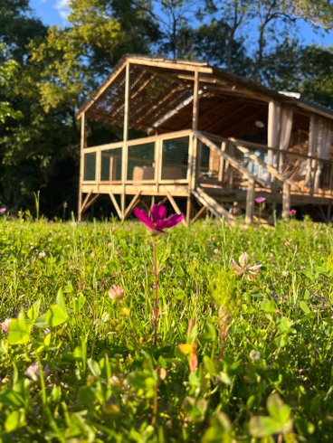 Hébergement AbracadaRoom : Cabane Lodge duo SPA (17 m² - 1 ch - 2 pers.) - Image 2