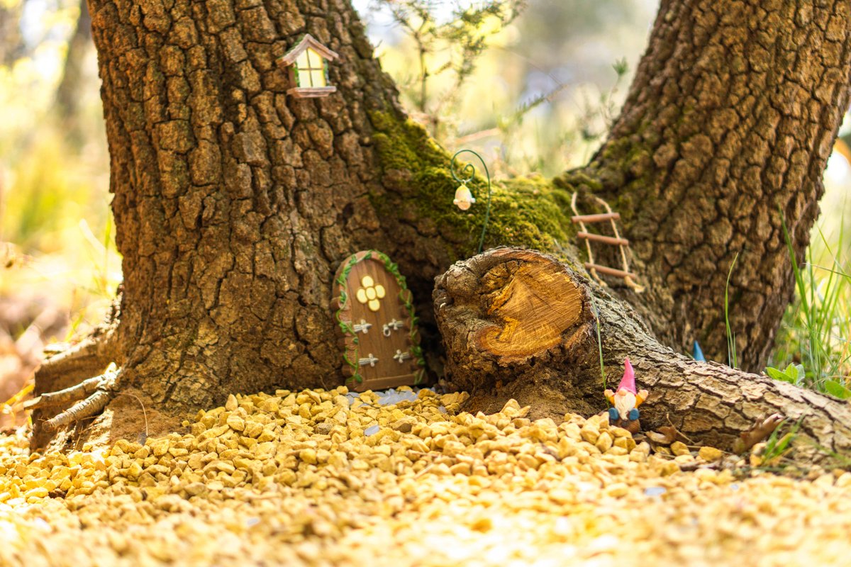 La Forêt Enchantée - Refuge au coeur du Vaucluse à Mondragon (9)