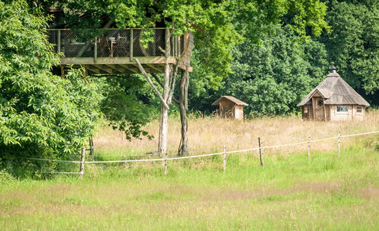 La Cabane perchée Neh er lenn à Ploemel (8)