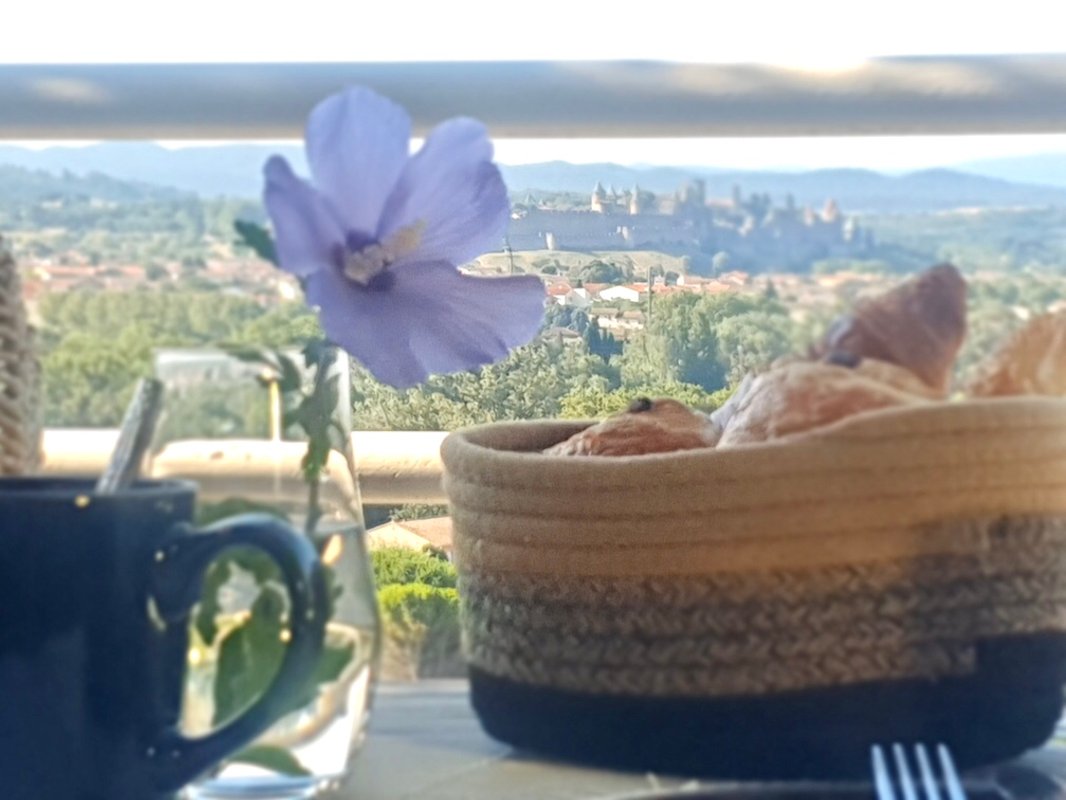 La Suite vue panoramique et Spa à Carcassonne (13)