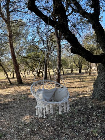 Domaine AbracadaRoom : Domaine de Regardebon - Image 13