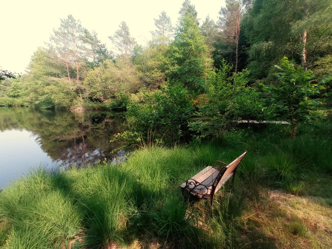 Domaine AbracadaRoom : Le bois des Nenuphars-Gite insolite - Image 2