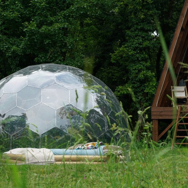 Hébergement AbracadaRoom : Bulle transparente - Royaume des arômes - Image 2