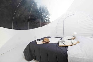 Tente de lit Forêt enchantée - blanc