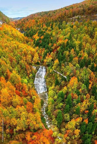 Hébergement AbracadaRoom : Les Logettes de Caroline, Ecolodge & Bain Nordique - Image 44