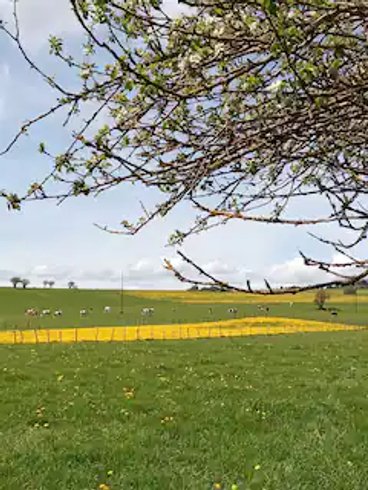 Domaine AbracadaRoom : Roulotte du Jura Vert - Image 13