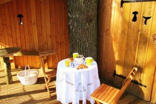 Cabane dans les arbres Marne